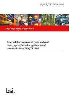 BS PD CEN/TS 16459